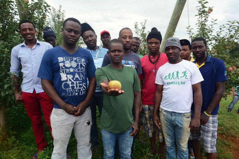 Fluxo de haitianos iniciou-se ap&oacute;s o terremoto de 2010