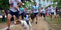 	Corrida e Caminhada Vai Totó contou com a participação de 300 cães, que estavam acompanhados dos seus donos