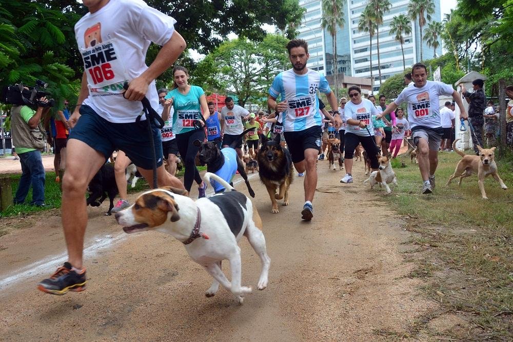 	Corrida e Caminhada Vai Tot&oacute; contou com a participa&ccedil;&atilde;o de 300 c&atilde;es, que estavam acompanhados dos seus donos