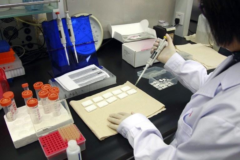 Cientistas chineses anunciam cria&ccedil;&atilde;o de embri&otilde;es humanos imunes ao HIV