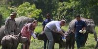 Casal real visitou Parque Nacional de Kaziranga nesta quarta-feira 