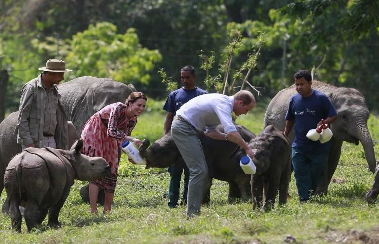 Casal real visitou Parque Nacional de Kaziranga nesta quarta-feira 