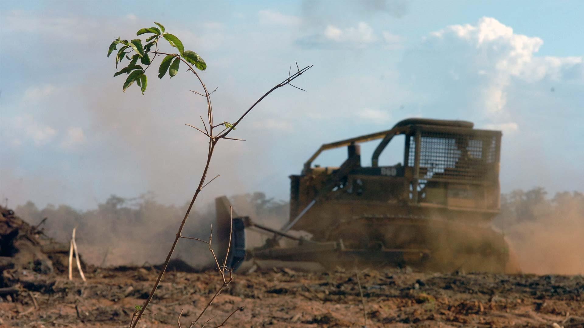 Pesquisa indica que 70% dos munic&iacute;pios n&atilde;o fazem licenciamento ambiental 