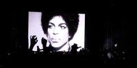 Prince foi homenageado no festival Coachella