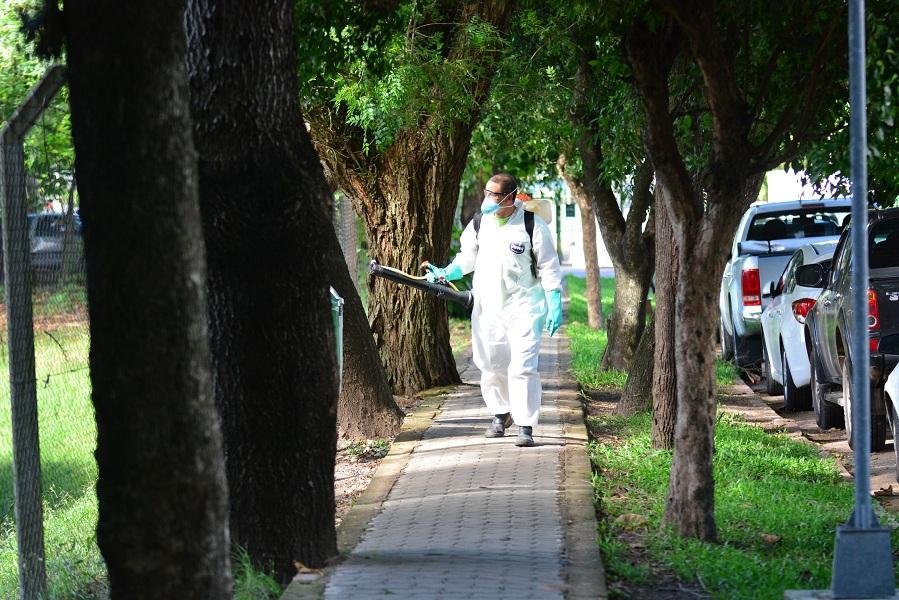 Duzentos e doze munic&iacute;pios do RS n&atilde;o disp&otilde;em de plano de combate ao Aedes