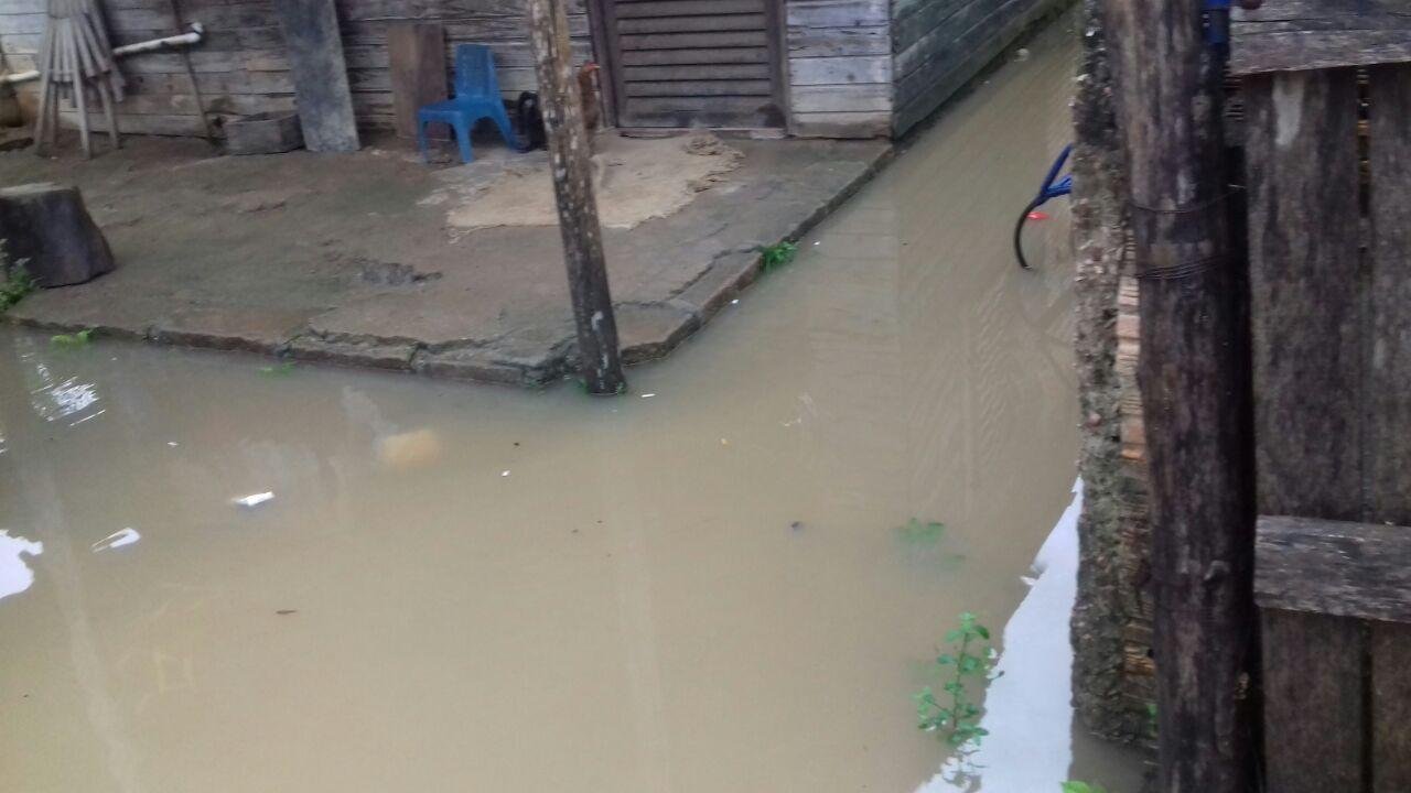 Arroio transborda e &aacute;gua invade casas em Viam&atilde;o 