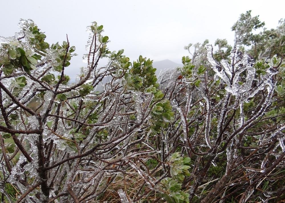 Frio chega em Santa Catarina com sensa&ccedil;&atilde;o t&eacute;rmica de -15&deg;C 
