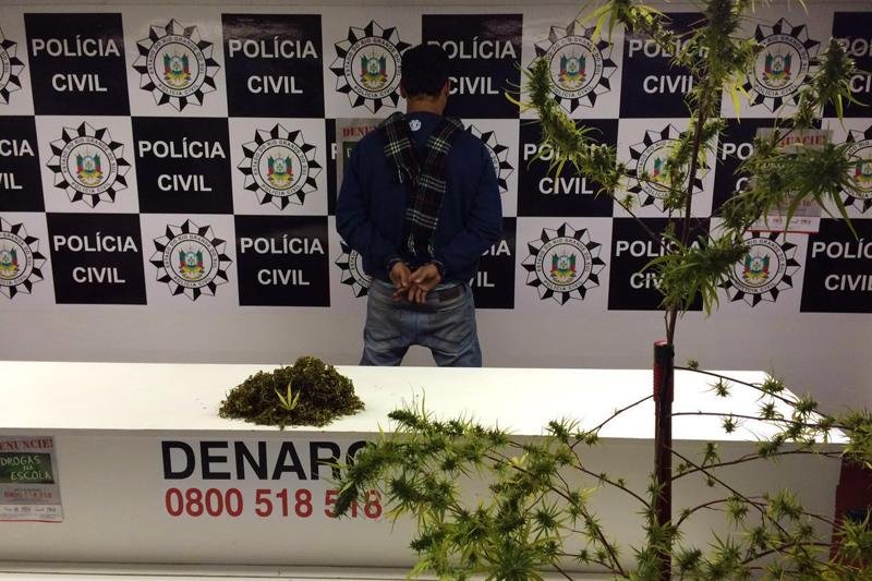 Denarc tamb&eacute;m apreendeu 70 gramas da droga em recipiente para secagem numa resid&ecirc;ncia pr&oacute;xima &agrave; BR 116