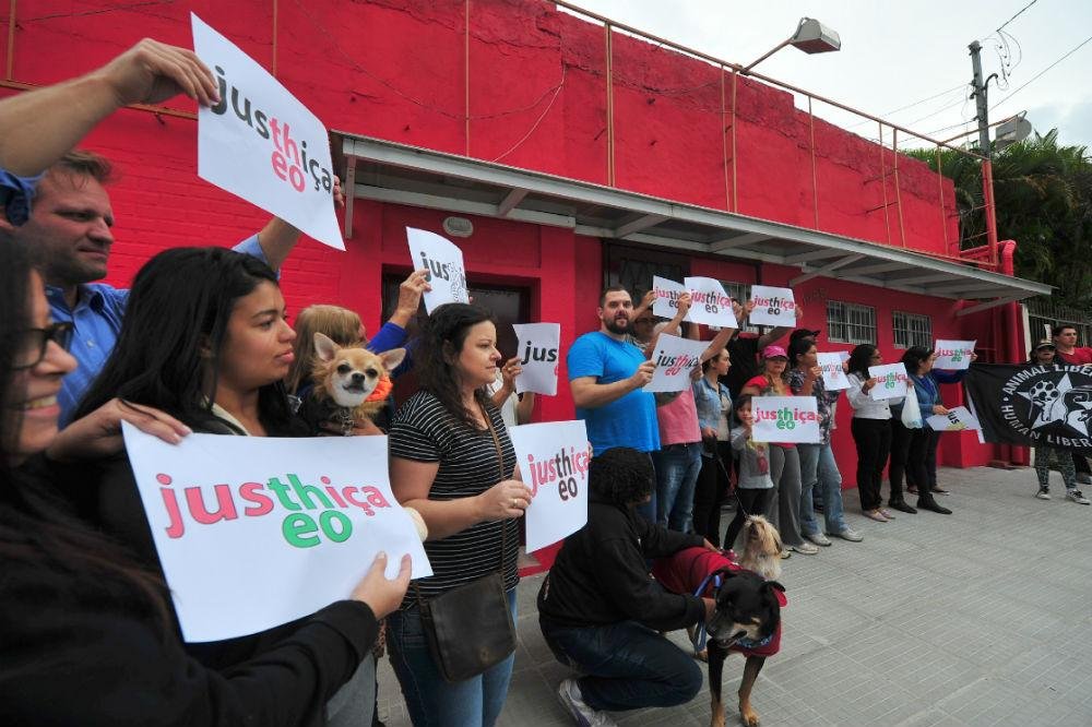 Cerca de cem pessoas protestaram na rua onde cachorro foi morto no m&ecirc;s passado