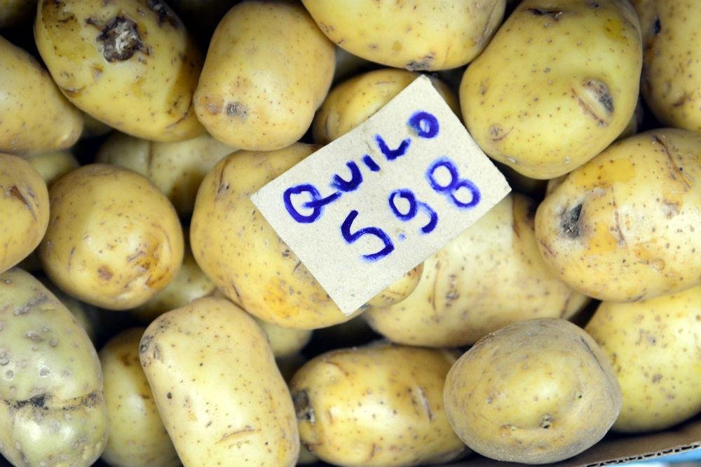 Batata foi a &acute;vil&atilde;&acute; dos aumentos em abril