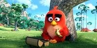 Na animação, o pássaro Red faz terapia para lidar com a raiva