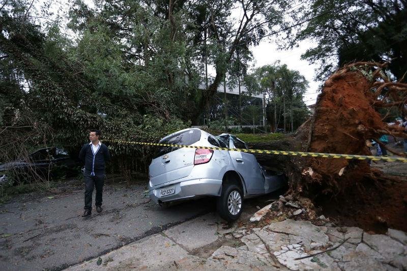Tempestade derruba 98 &aacute;rvores e deixa bairros sem luz em S&atilde;o Paulo