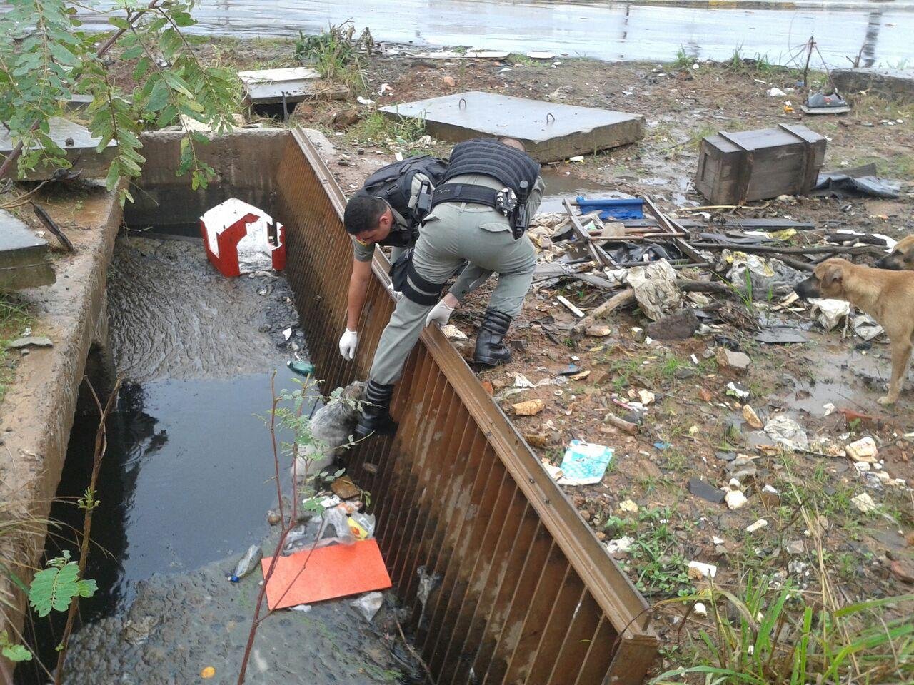 C&atilde;o &eacute; resgatado pela BM ap&oacute;s cair em val&atilde;o de Canoas 