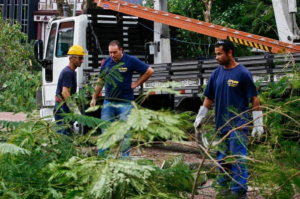 Equipes da Prefeitura recolheram &aacute;rvores que apresentavam riscos na Pra&ccedil;a da Matriz e em torno do Piratini 