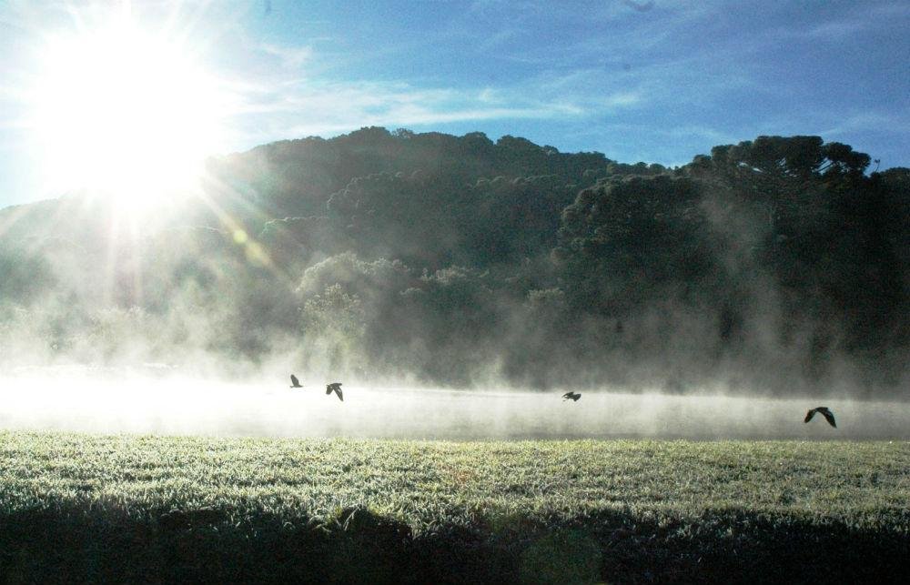 Estado ter&aacute; sequ&ecirc;ncia de dias com frio intenso e geada generalizada