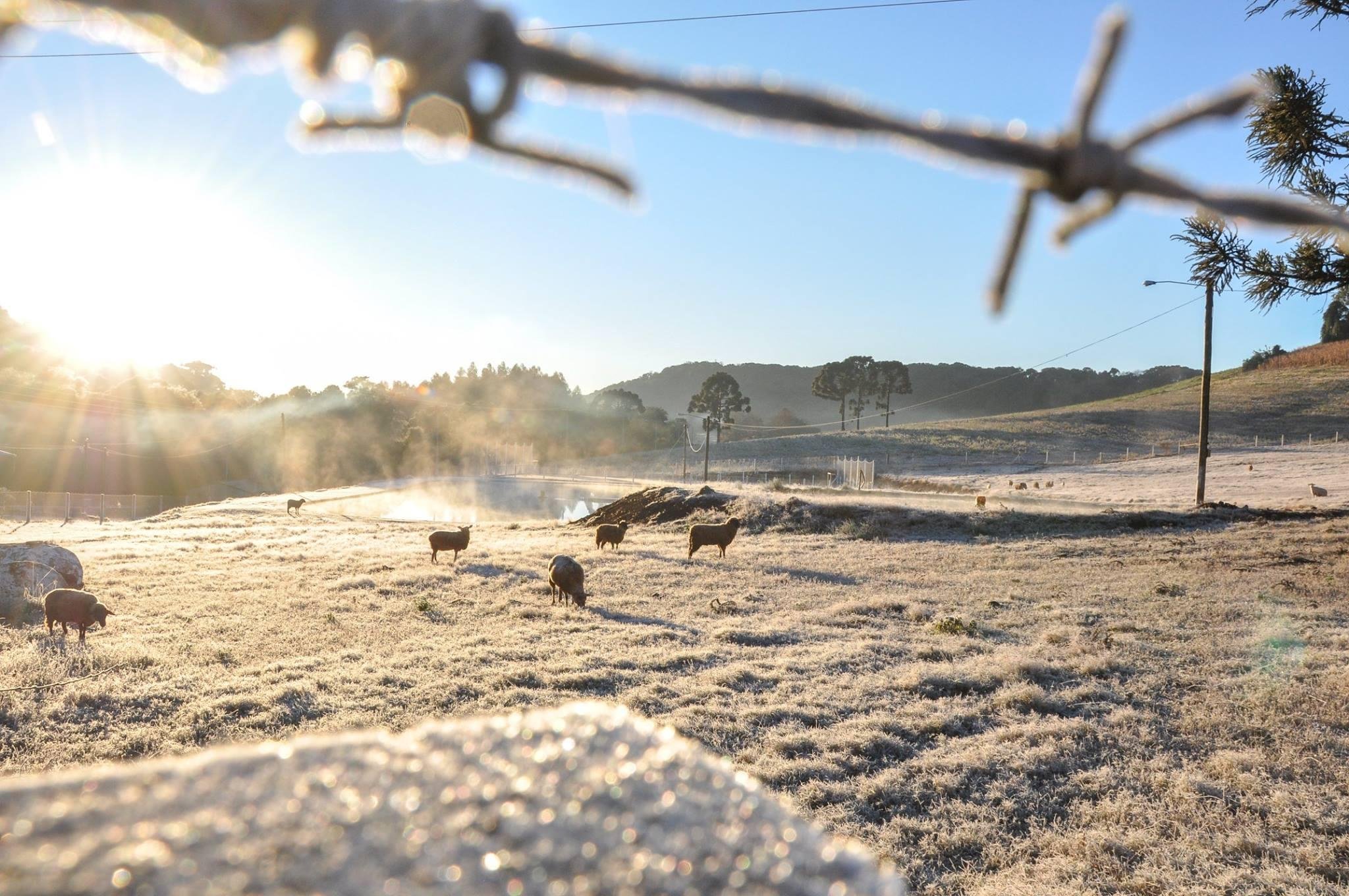 Serafina Corr&ecirc;a registrou 5,1&deg;C abaixo de zero