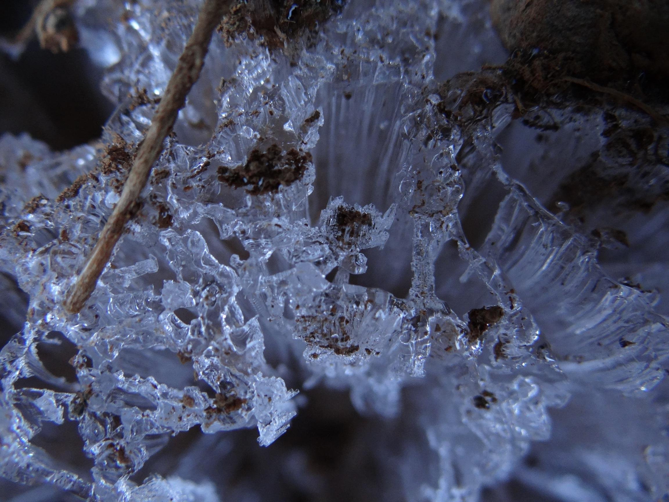 Sensa&ccedil;&atilde;o t&eacute;rmica chegou a -25 &ordm;C
