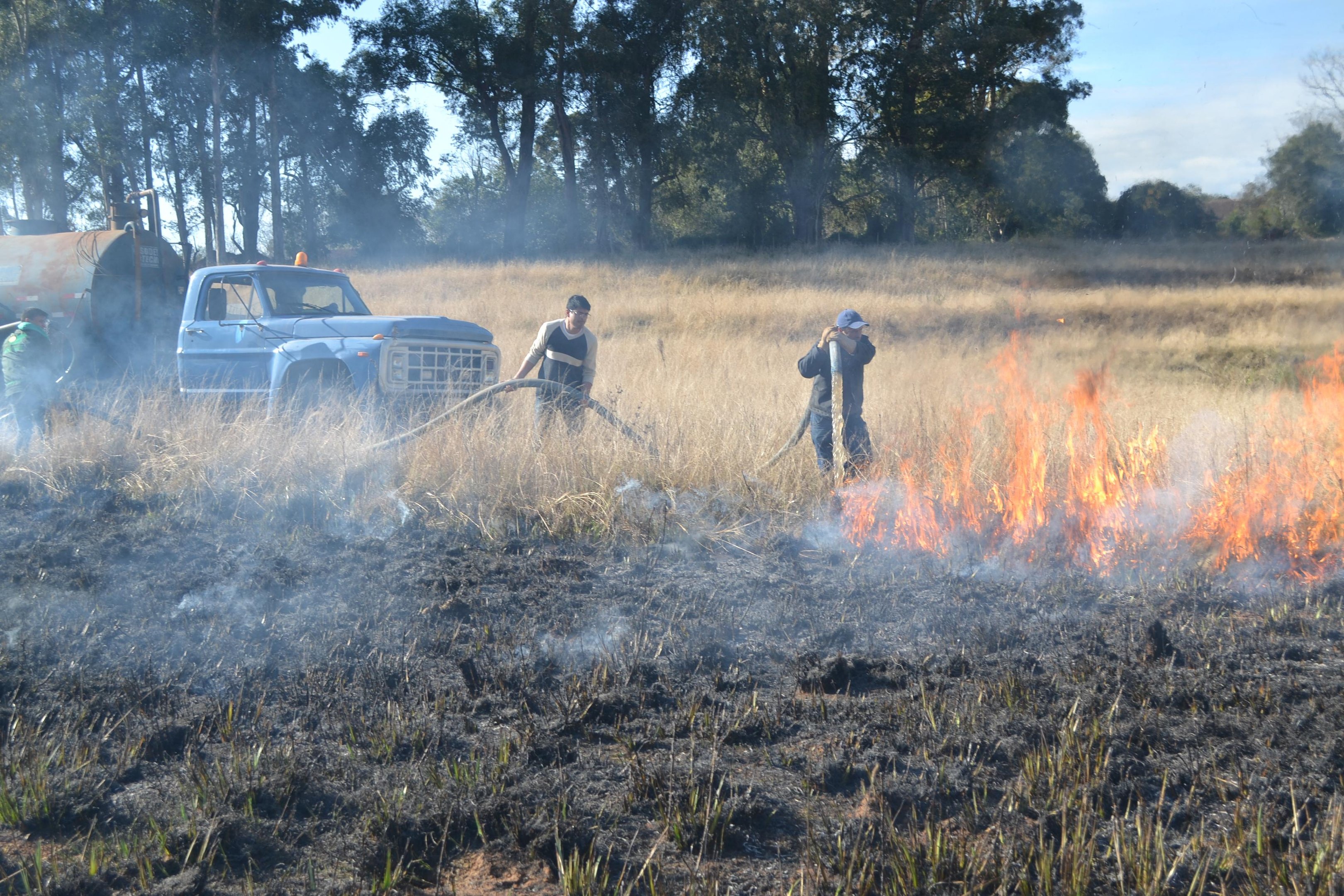 Inc&ecirc;ndio em antiga &aacute;rea da Fepagro em Tupanciret&atilde; destr&oacute;i 100 hectares