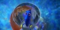 No filme, a peixinha recupera a memória e vai atrás de sua família