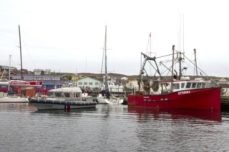 Tr&aacute;fego no porto de Calais &eacute; interrompido por presen&ccedil;a de imigrantes na &aacute;gua