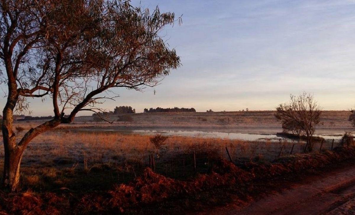 Tr&eacute;gua do frio acaba e m&iacute;nimas negativas retornam ao RS