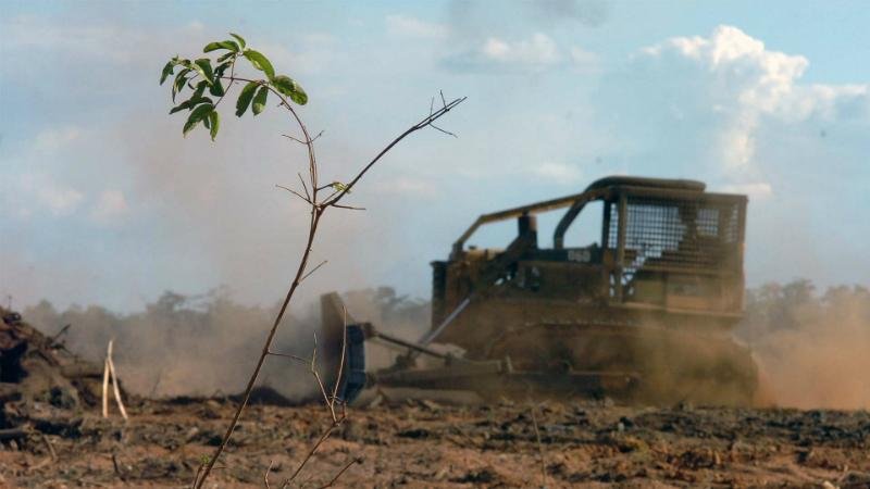 Brasil foi o pa&iacute;s mais violento para os ambientalistas em 2015