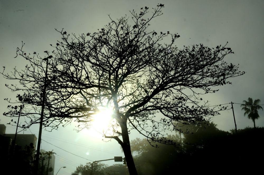 Sexta ter&aacute; nevoeiro e sol no RS 