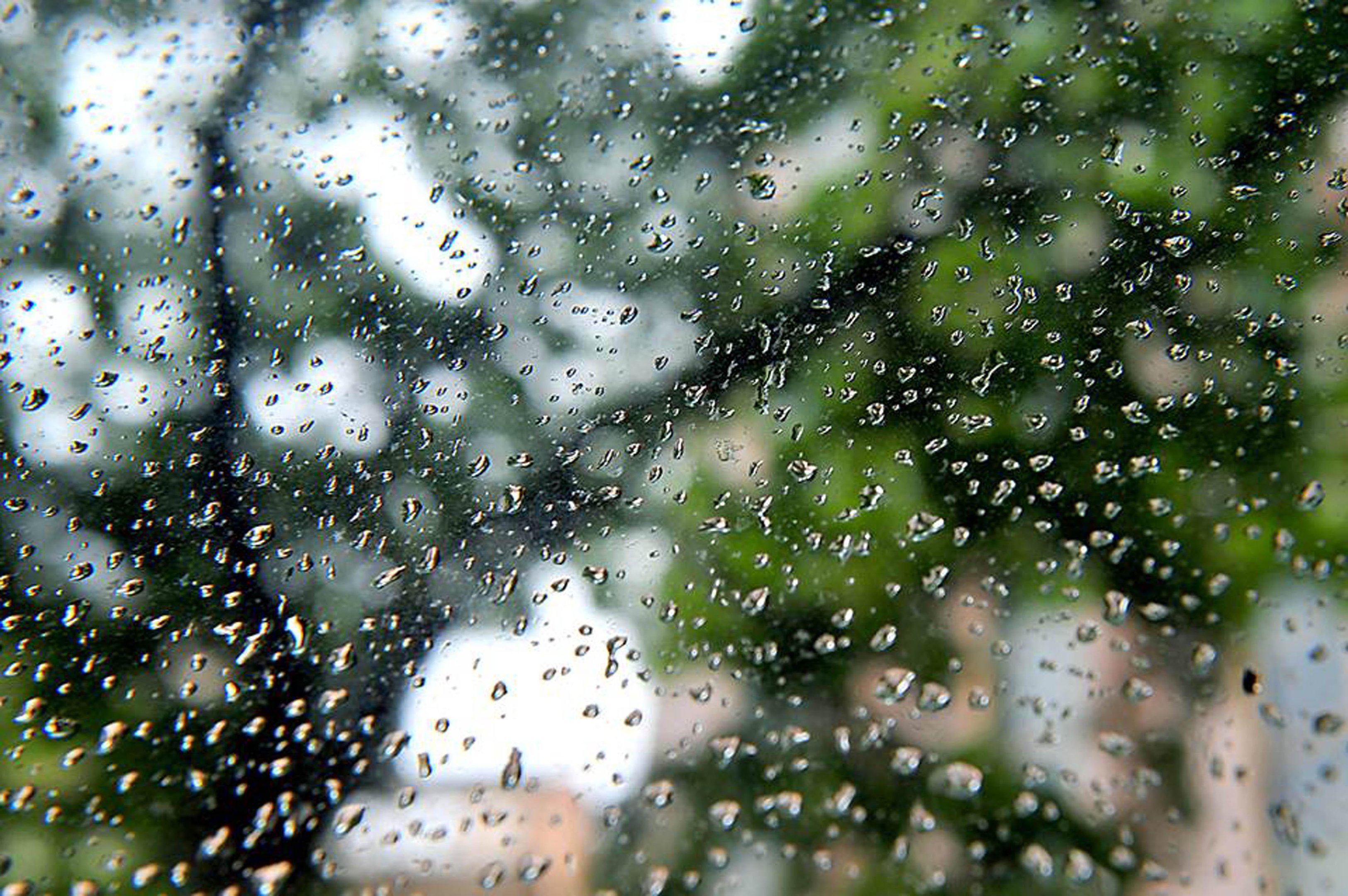 Chuva avan&ccedil;a pelo Estado nesta quarta-feira