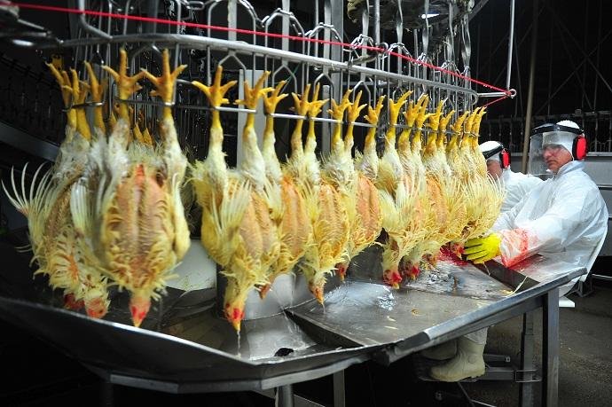 Rio Grande do Sul vendeu 138 mil toneladas de janeiro a maio