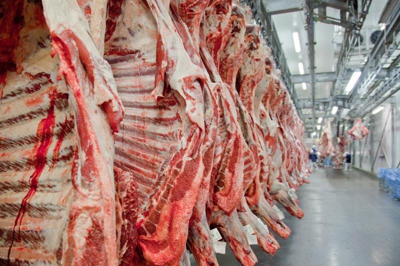 Brasil vendeu 175,2 mil toneladas de gado