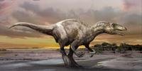 Murusraptor barroensis era um pedrador rápido e ágil conforme análise das ossadas