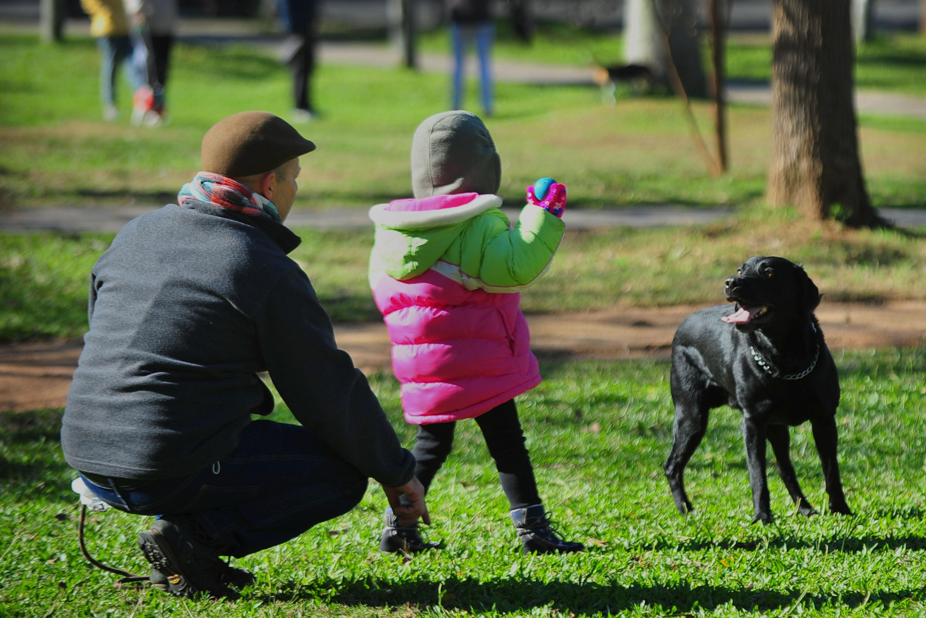 Tarde de hoje deve registrar m&aacute;xima de 16&ordm;C em Porto Alegre