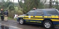 Mulher morre em colisão de carro contra árvore em Panambi