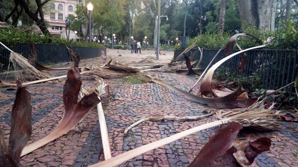 Ventania derruba galhos de &aacute;rvores em Porto Alegre 