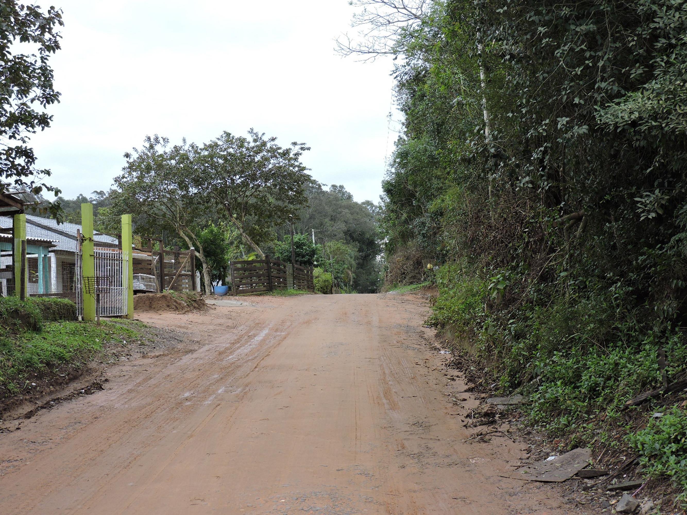 &Aacute;reas do Horto Florestal s&atilde;o ocupadas irregularmente