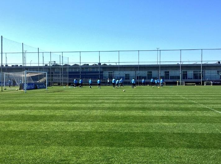 Gr&ecirc;mio simula gramado sint&eacute;tico em treino de goleiros 