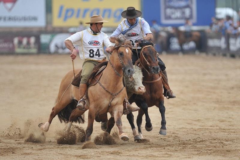 O macho Harmonia Temprano e a f&ecirc;mea Farrera de Los Campos s&atilde;o os vencedores na pista de Esteio