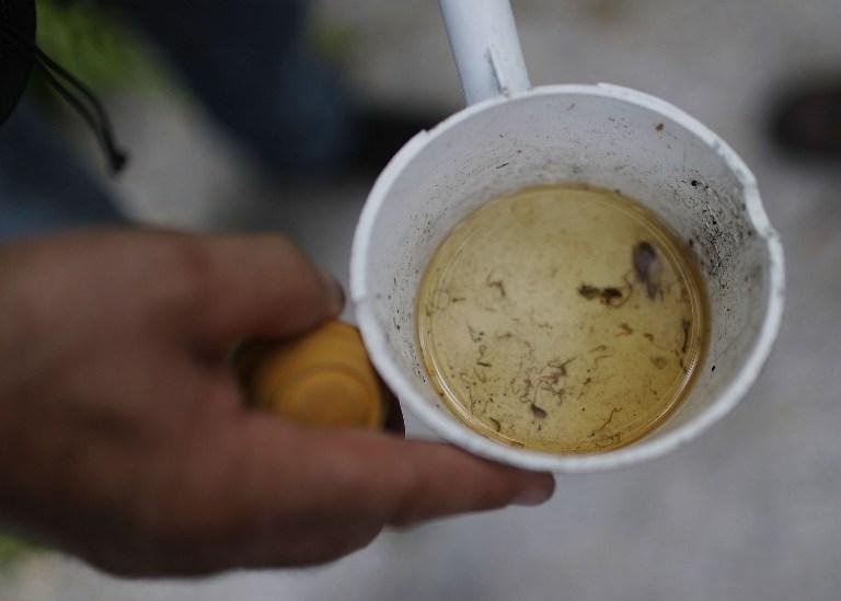 Ag&ecirc;ncia americana autoriza Roche a testar m&eacute;todo de diagn&oacute;stico da zika