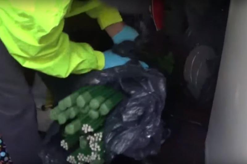 Pol&iacute;cia encontra coca&iacute;na escondida em caixas de flores na Col&ocirc;mbia