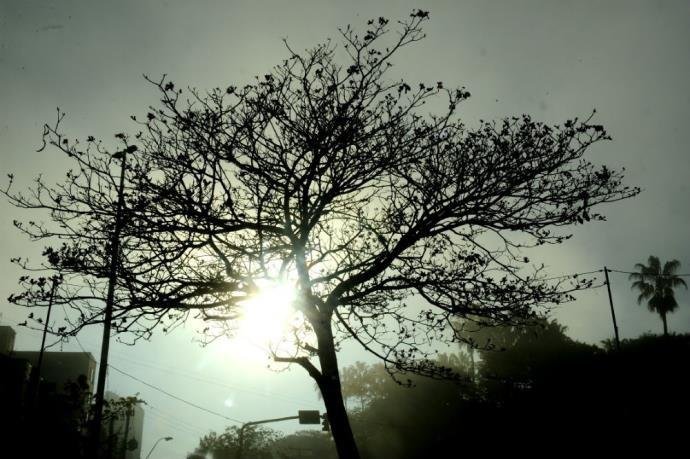 Segunda-feira ser&aacute; ensolarada e ter&aacute; um amanhecer gelado no RS