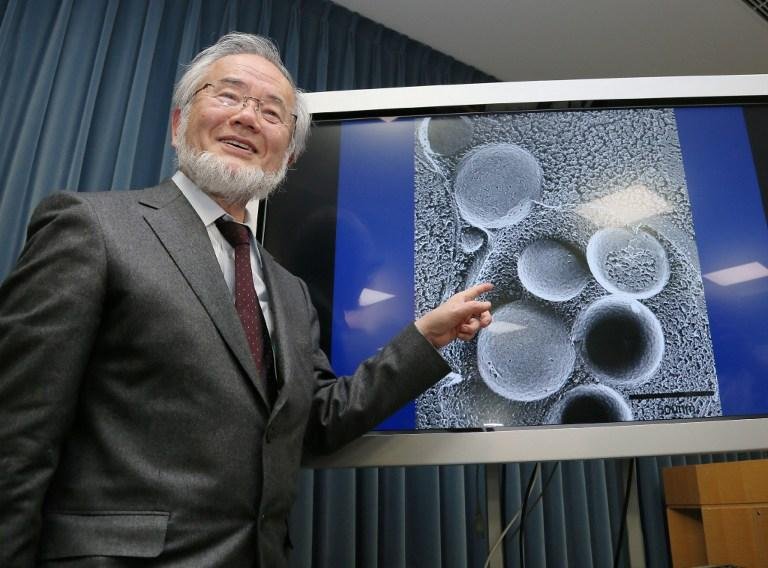 Japon&ecirc;s Yoshinori Ohsumi vence o Nobel de Medicina por pesquisas sobre a autofagia