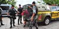 Presos foram confinados em viaturas da Brigada Militar e da Guarda Municipal por até 20 horas