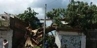Árvore destrói parte de residência em Sapucaia do Sul