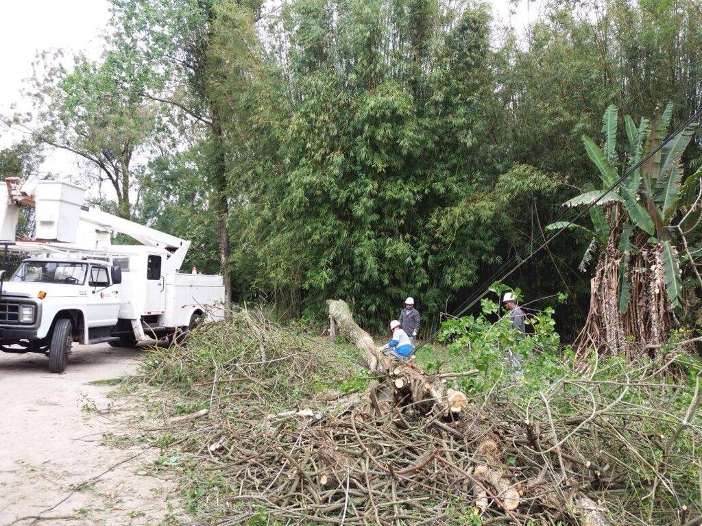 &Aacute;rea atendida pela CEEE &eacute; a mais afetada com 28,5 mil pontos sem luz