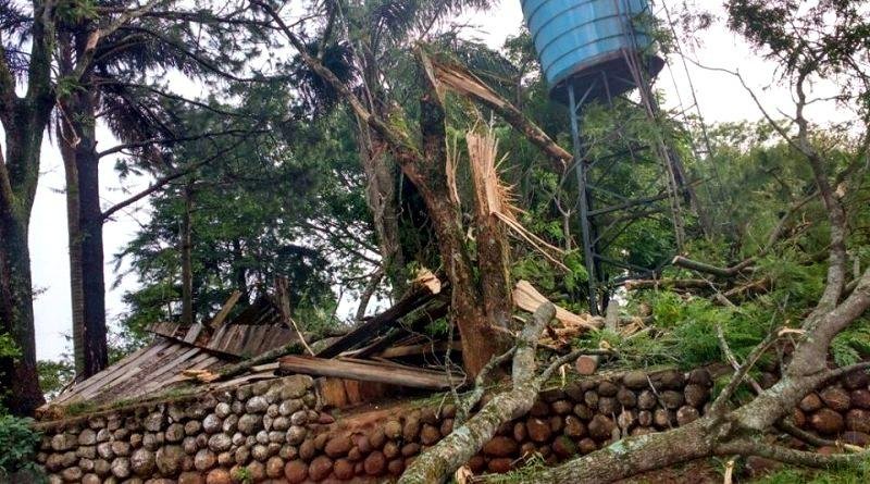 Rajadas derrubaram &aacute;rvores e postes de energia el&eacute;trica