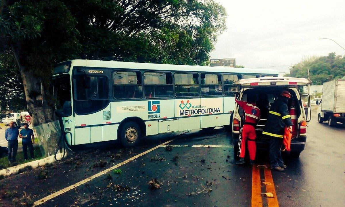 &Ocirc;nibus da Metroplan se chocou com uma &aacute;rvore na ERS 030