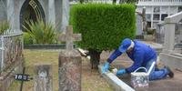 Funcionários de cemitérios limparam e pintaram canteiros