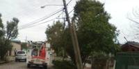 Mais de 10 árvores e diversos postes de energia elétrica também caíram ao longo da madrugada