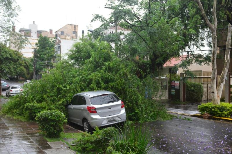 &Aacute;rvore caiu sobre um ve&iacute;culo na rua Carlos Von Koseritz, em Porto Alegre