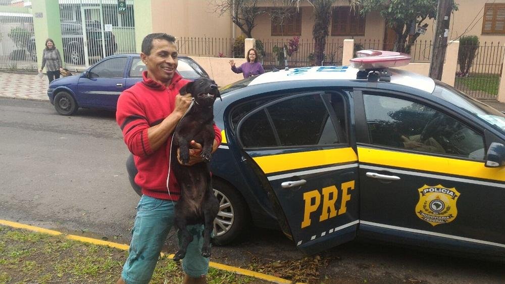 PRF resgata cachorro na BR 116  